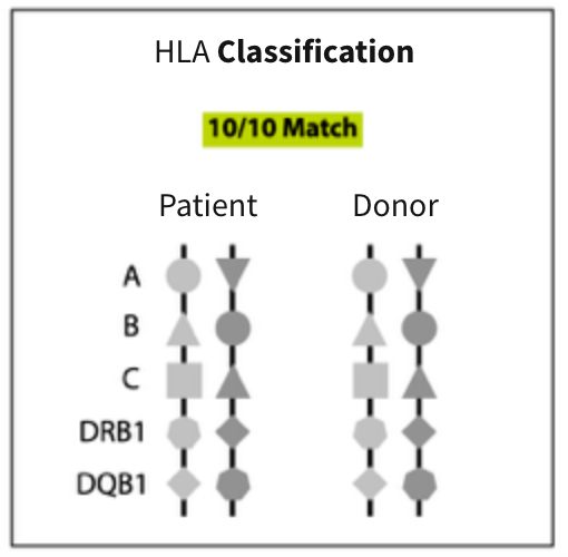 Hematopoietic Cell and Bone Marrow Transplant Unit