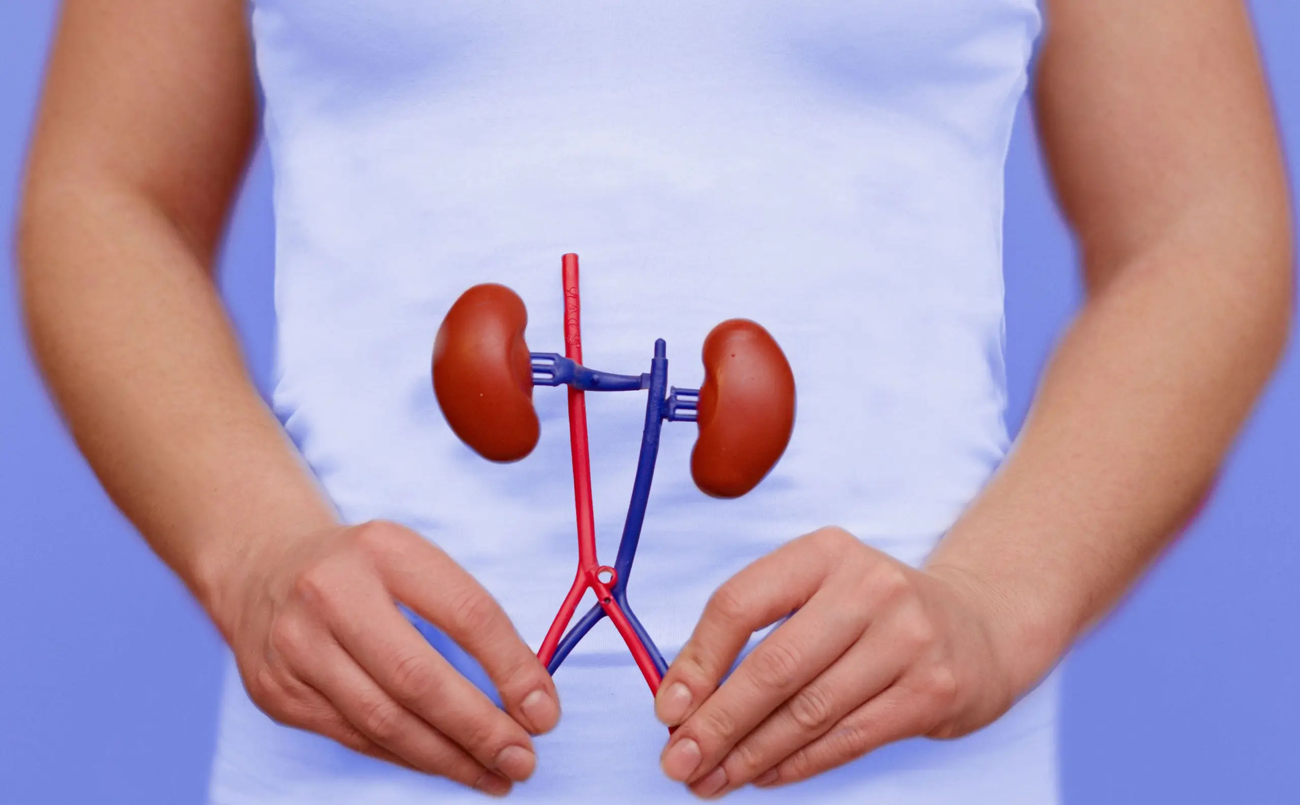 Relación entre diabetes e hipertensión y la insuficiencia renal