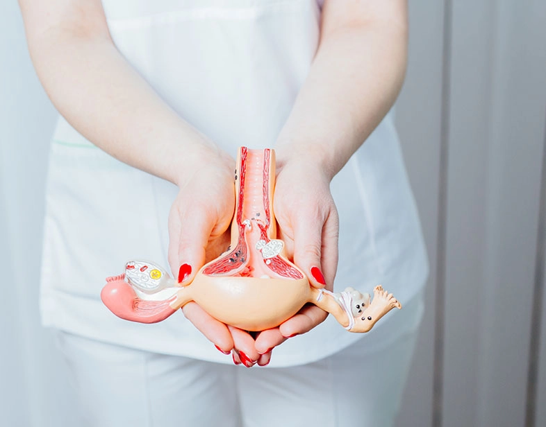 Endometriosis y reproducción: respuestas a dudas frecuentes