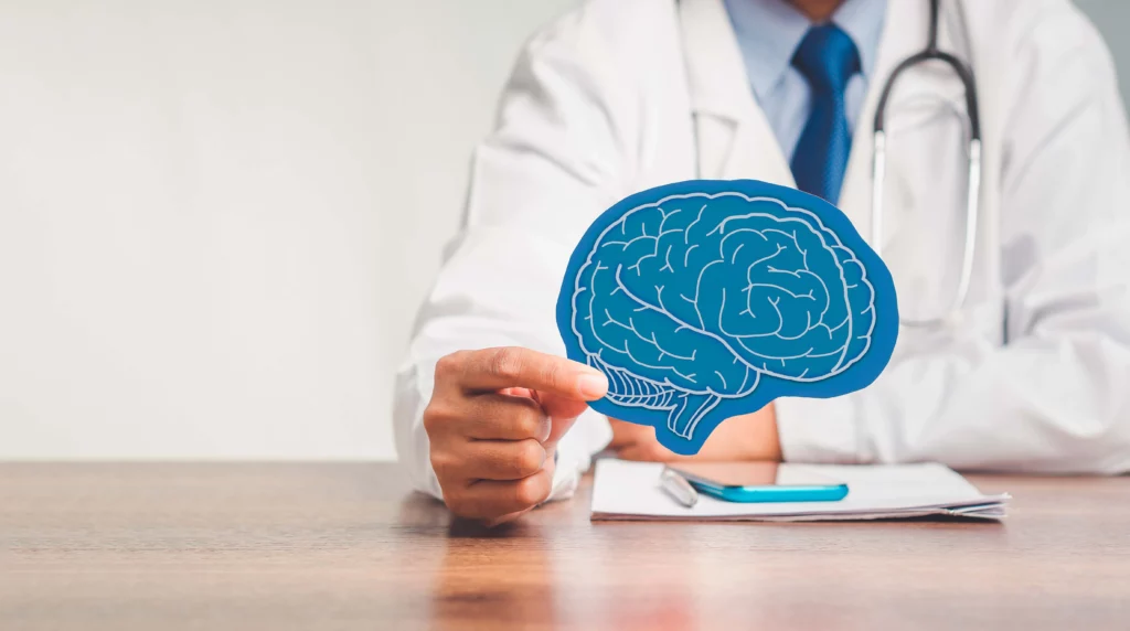 Doctor sosteniendo figura del cerebro para explicar la meningitis.