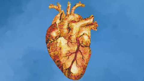 Simposio Internacional de Cardio – Oncología 2025