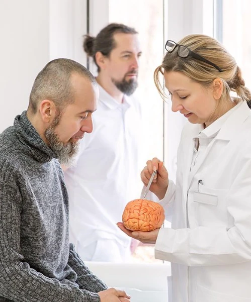 Síntomas de un tumor cerebral Especialista sosteniendo una récplica del cerebro y mostrándosela a un paciente