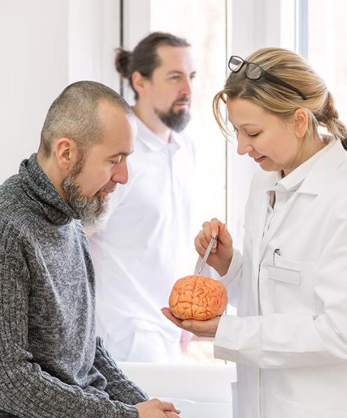Especialista sosteniendo una récplica del cerebro y mostrándosela a un paciente