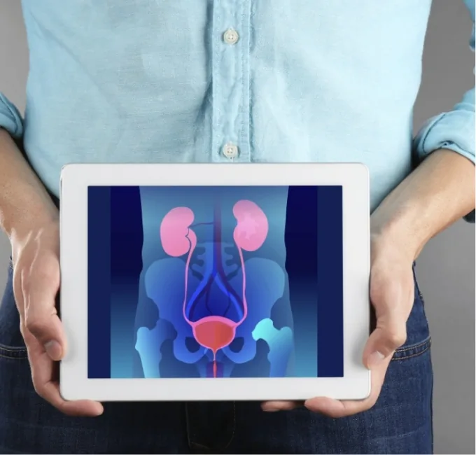 urologia