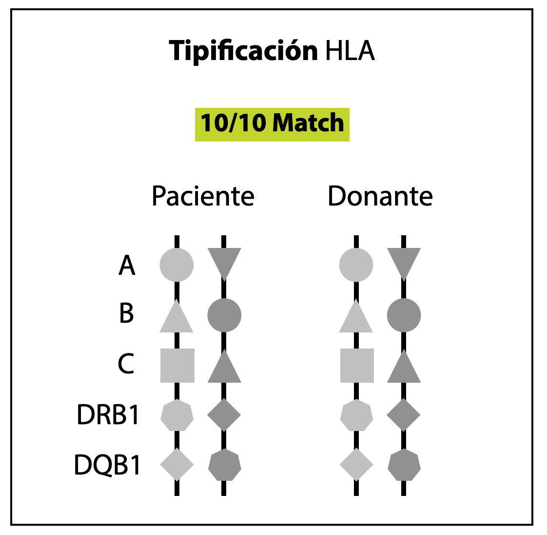 Trasplante de Médula Ósea