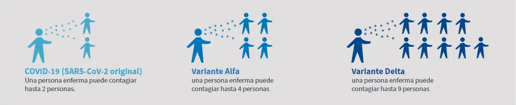 COVID-19 (SARS-CoV-2 original) Una persona enferma puede contagiar hasta 2 personas. Variante Alfa una persona enferma puede contagiar hasta 4 personas Variante Delta una persona enferma puede contagiar hasta 9 personas