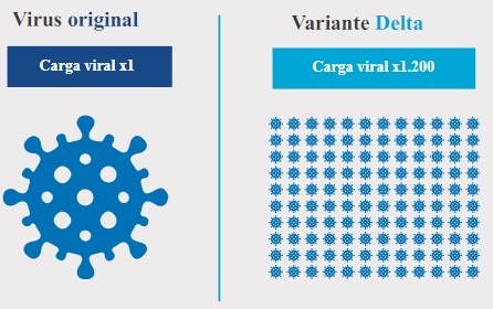 variantes
