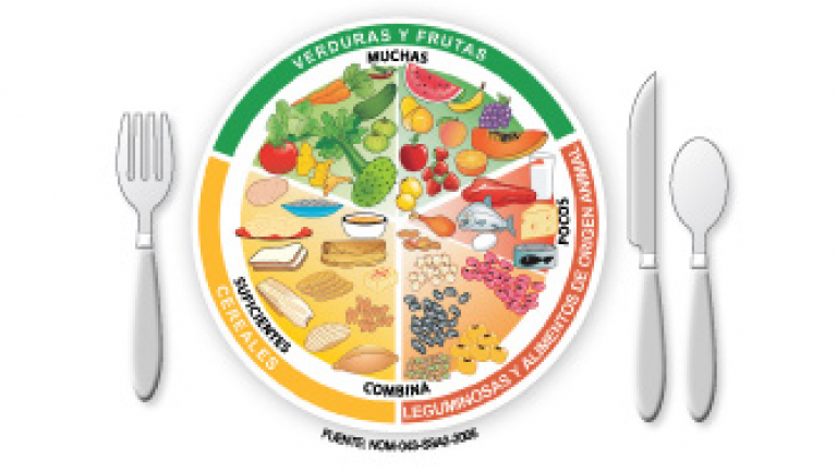 Para Que Nos Sirve El Plato Del Buen Comer Wikipedia