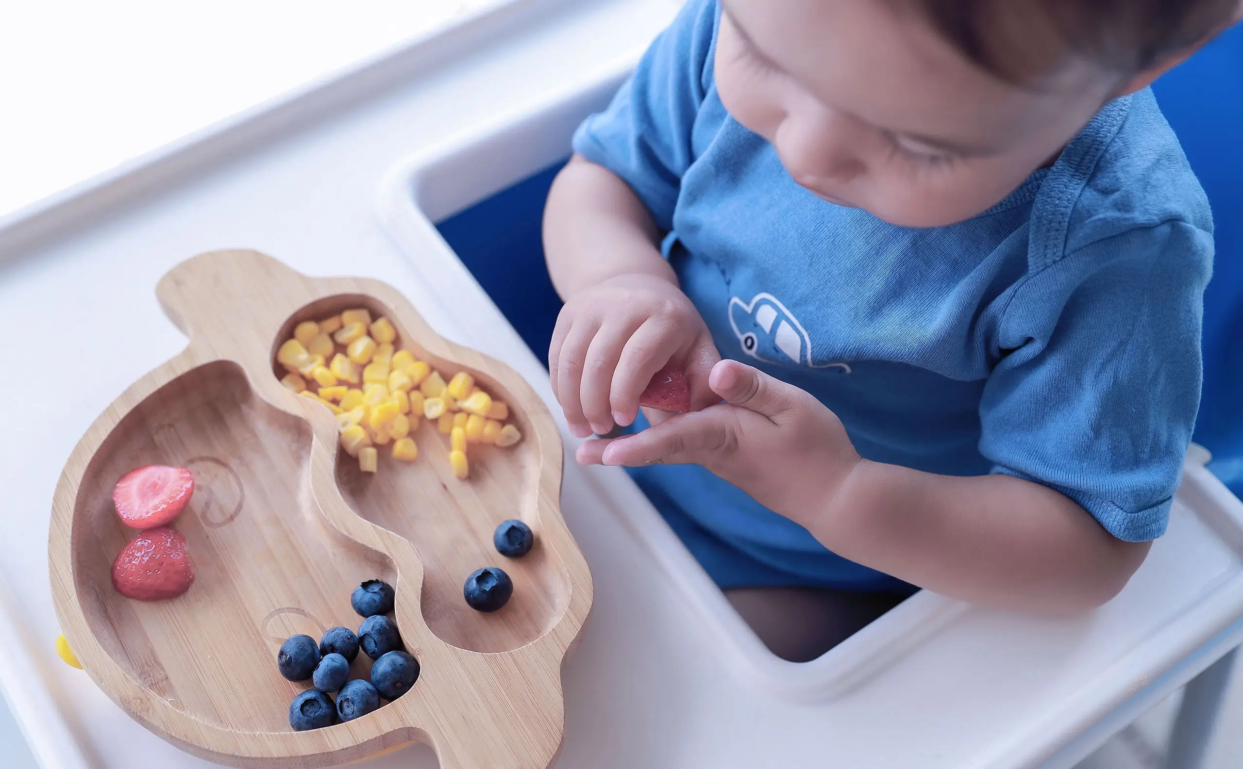 Aprende más sobre las comidas para bebés