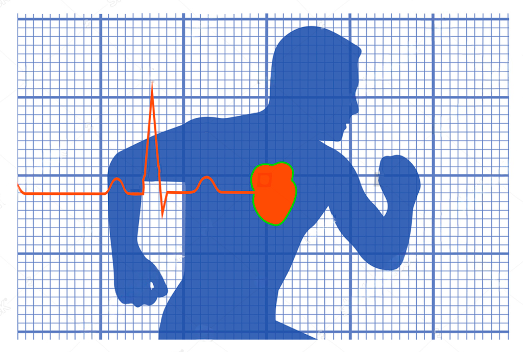 Dibujo de un hombre corriendo donde se ve su corazón y las líneas de un electrocardiograma para representar cómo se mejora la salud cardiovascular.