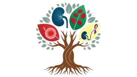 1er Simposio Internacional de Onco-Nefrología