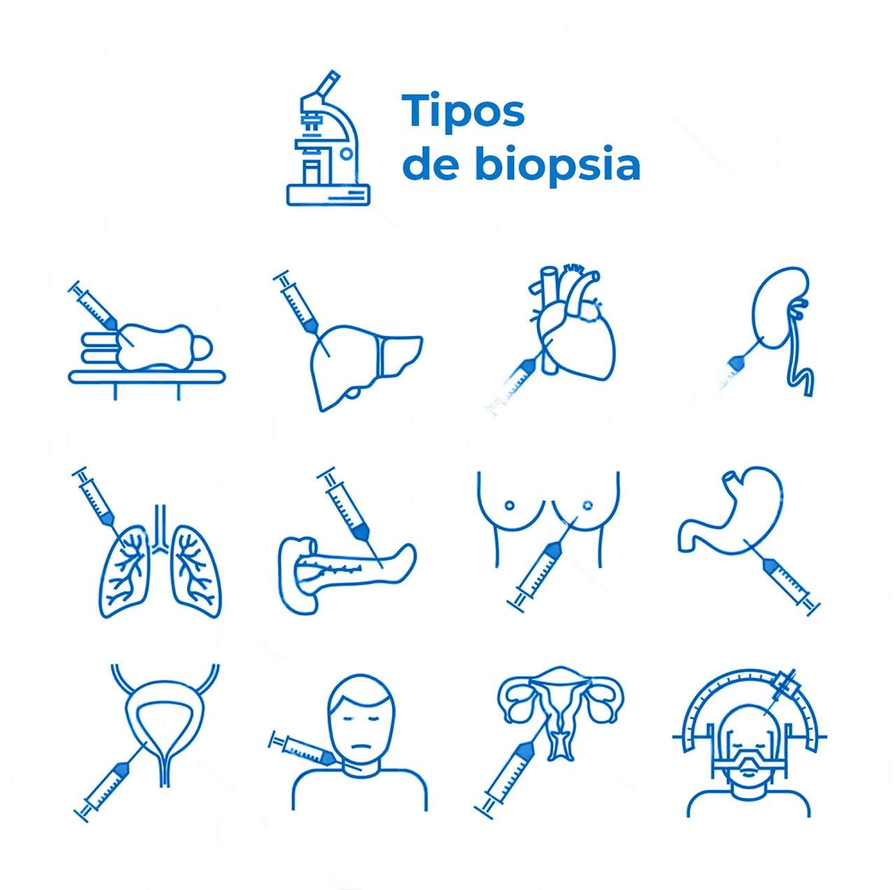 Íconos de los diferentes tipos de biopsia que se pueden realizar, que forman parte del proceso de cómo detectar el cáncer. Íconos de los diferentes tipos de biopsia que se pueden realizar, que forman parte del proceso de cómo detectar el cáncer.
