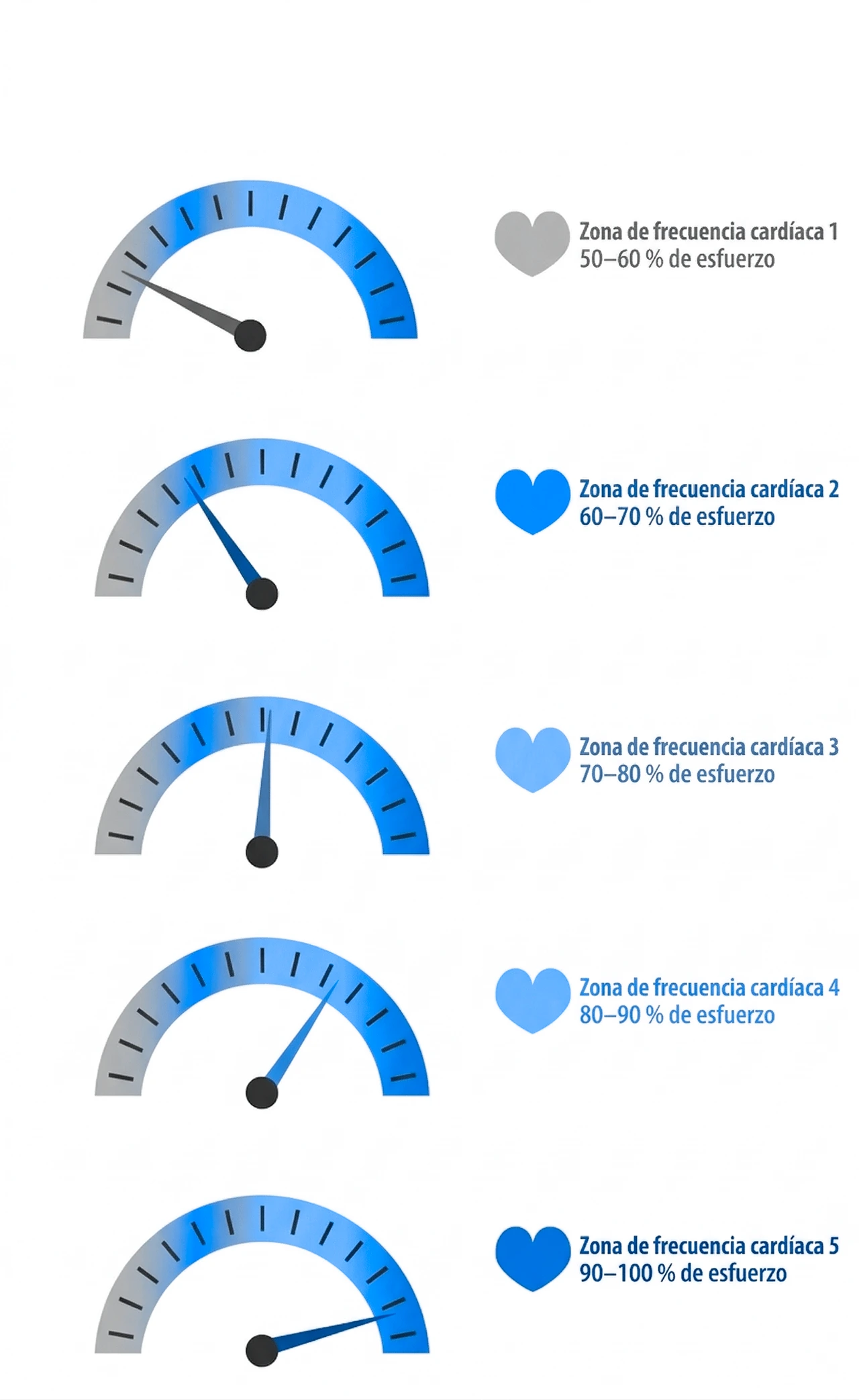 Para identificar la frecuencia cardíaca normal es importante conocer la zona de frecuencia cardíaca y los motivos por los que se puede alterar Para identificar la frecuencia cardíaca normal es importante conocer la zona de frecuencia cardíaca y los motivos por los que se puede alterar