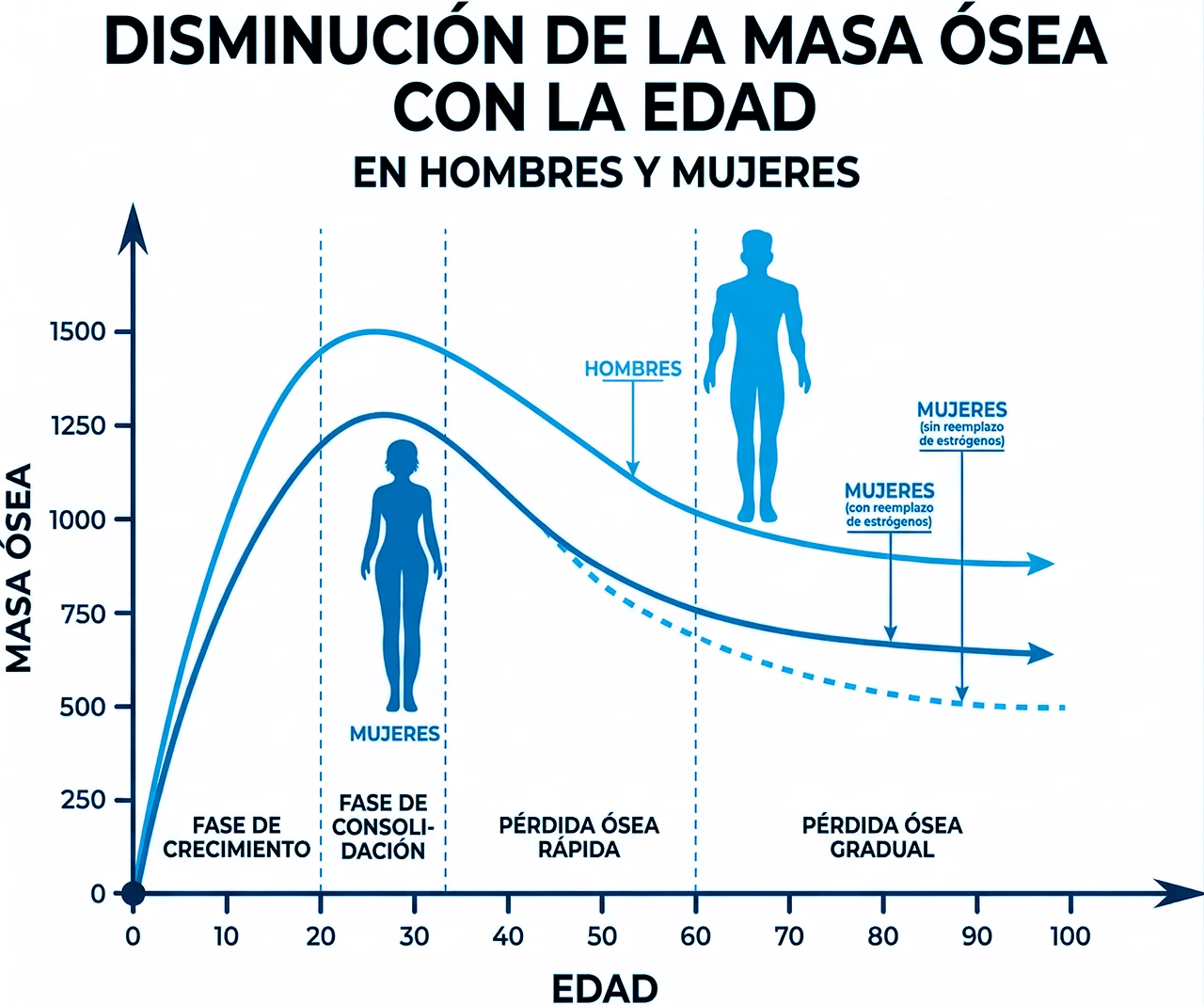 Entre los beneficios de hacer ejercicio está mejorar los niveles de masa ósea, los cuales se modifican en función a la edad de la persona, como muestra esta gráfica. Entre los beneficios de hacer ejercicio está mejorar los niveles de masa ósea, los cuales se modifican en función a la edad de la persona, como muestra esta gráfica.
