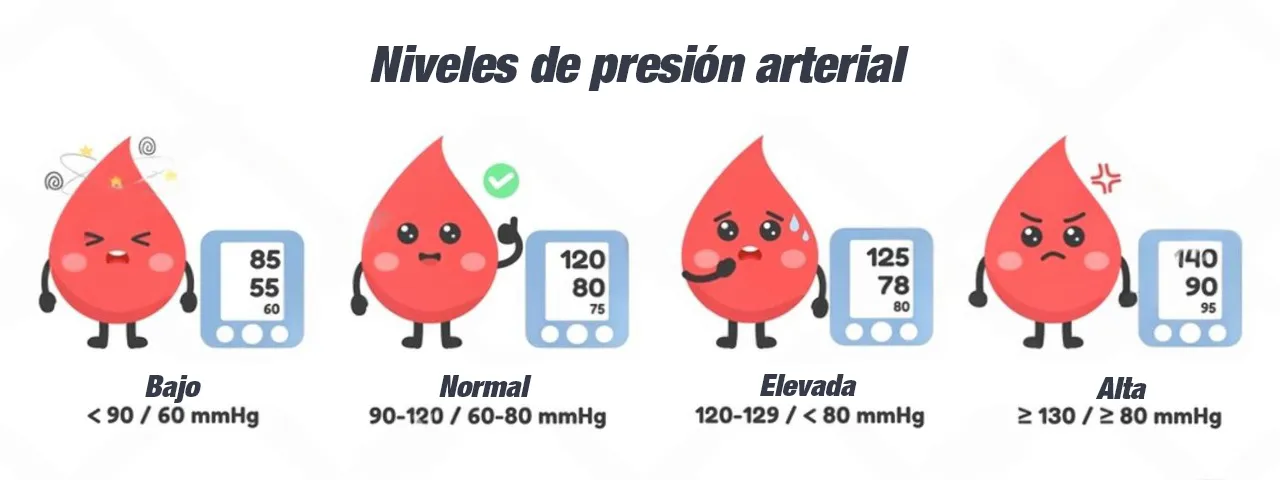 Ilustración que ayuda al momento de cómo bajar la presión, para identificar los distintos niveles que puede haber.