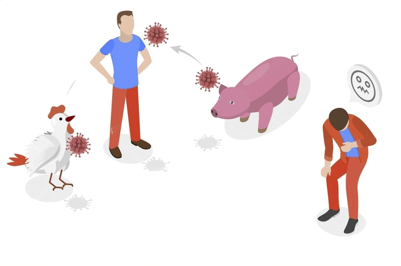 Transmisión zoonótica de virus de aves y cerdos a personas, un factor clave en la aparición de riesgos sanitarios.